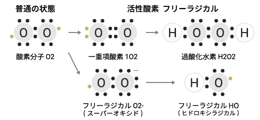 アンチ オキシダント システム